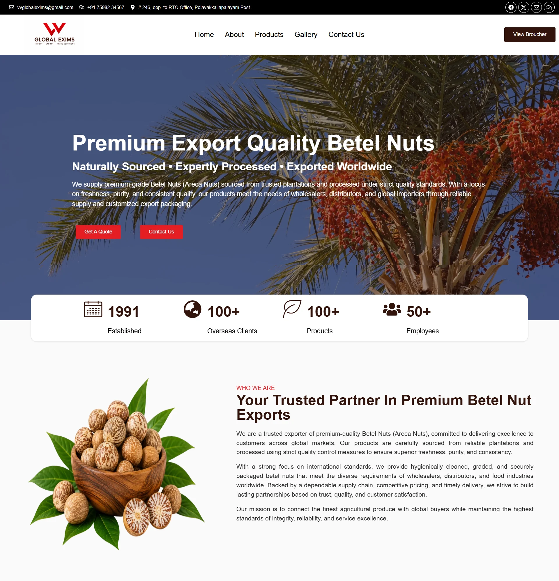 Apex Global International Trade Hub